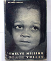 twelve million black voices